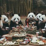 Panda Garden Menu