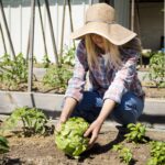 How to Grow Organic Vegetables at Home